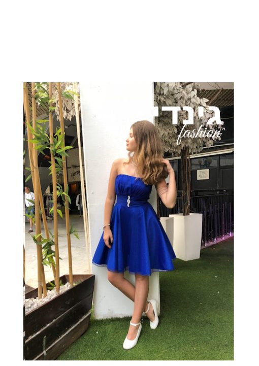 שמלות בצבע כחול רויאל